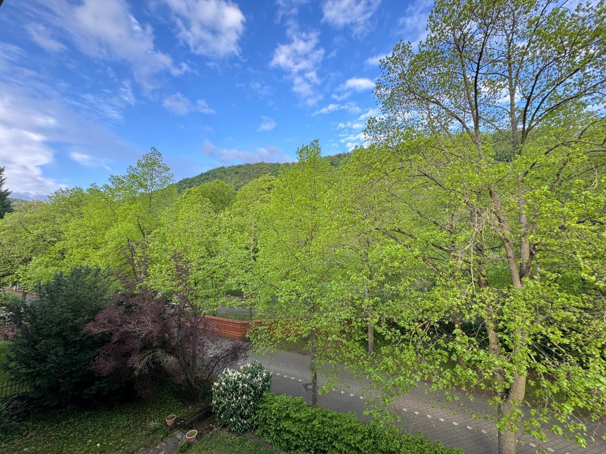 Apartment Villa Elisa Bad Kreuznach Kültér fotó